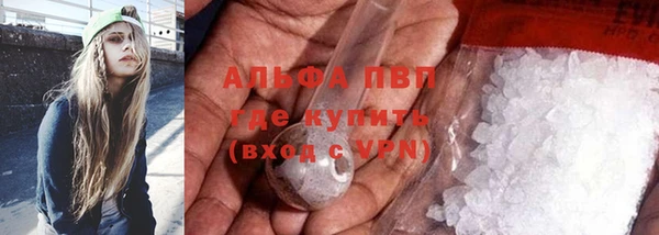 хмурый Тавда