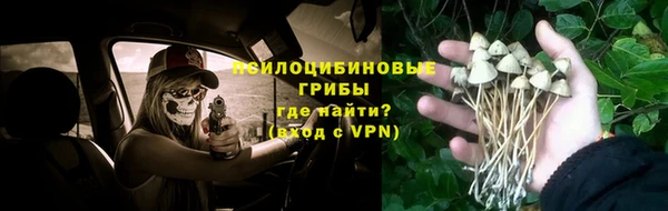 скорость Тобольск