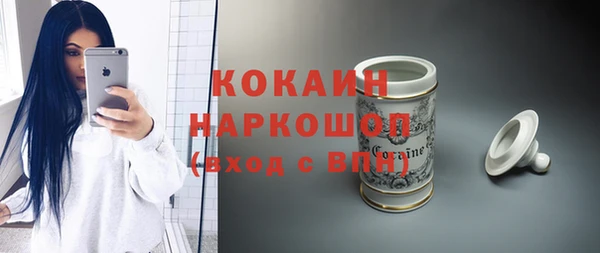 хмурый Тавда