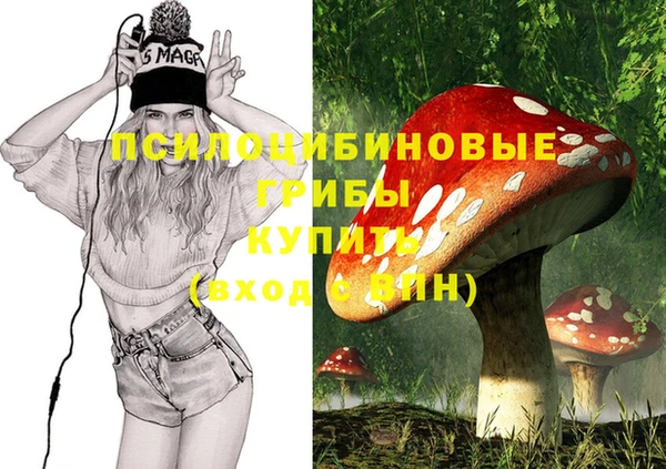 a pvp Сясьстрой