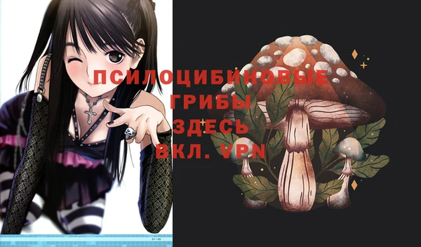 хмурый Тавда