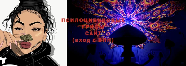 скорость Тобольск