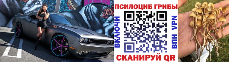 Галлюциногенные грибы GOLDEN TEACHER  где купить наркотик  OMG как войти  Сызрань 